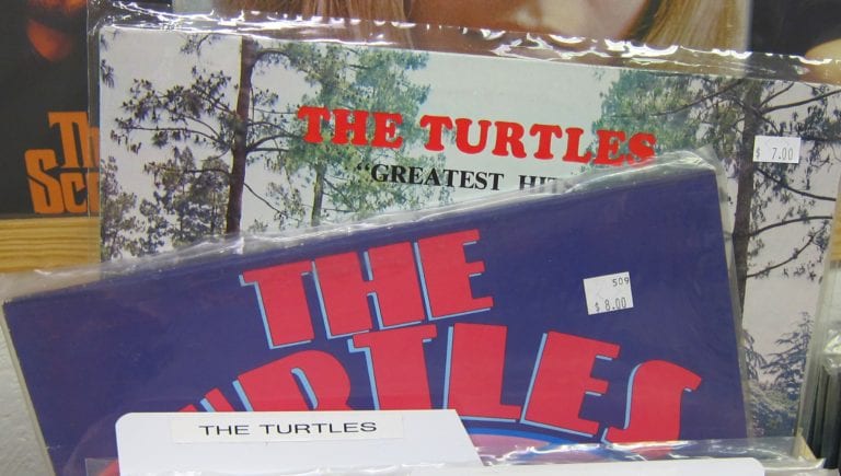 Turtles, The